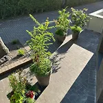 Balio Guest house Palanga