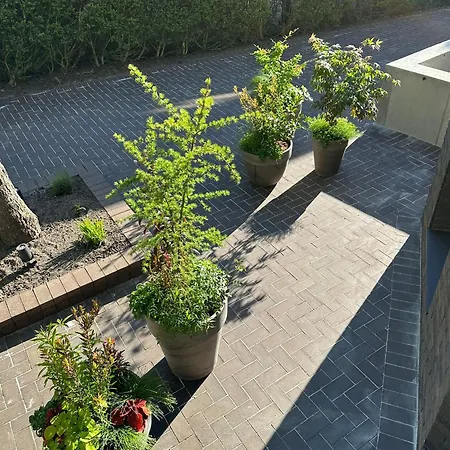 Balio Guest house Palanga