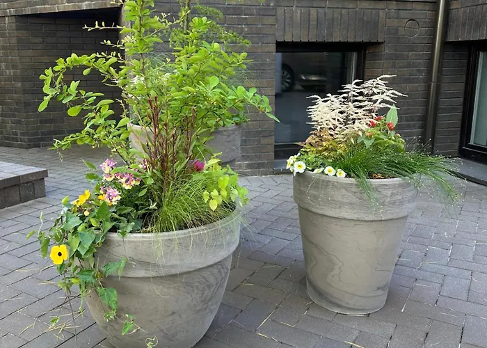 Balio Паланга