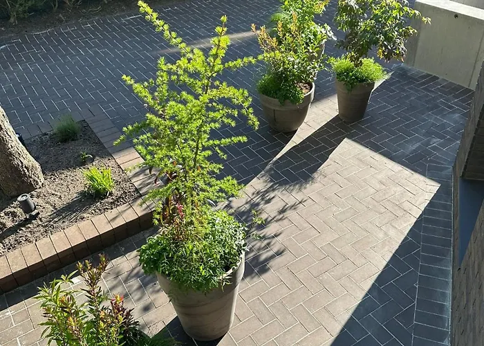 Balio Penzion Palanga